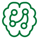 brain